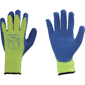 AZwXPA VRSw܁@804009y񏤕iz