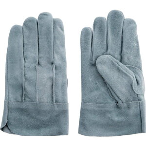 xmO[u v܃IC661ICȔwDy񏤕iz