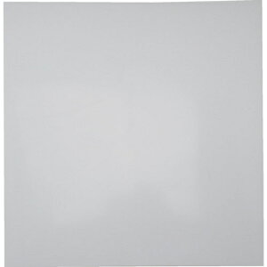 aCY z^SV[gp^Cv1×300mmy񏤕iz