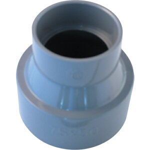 ZLXC DVpIN75×50y񏤕iz