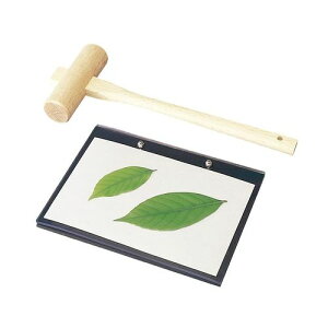 PjX ߃Zbg@TS|2@i؂Âtjy񏤕iz