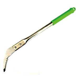 ΍ 炭炭tH[NJrD300mmy񏤕iz