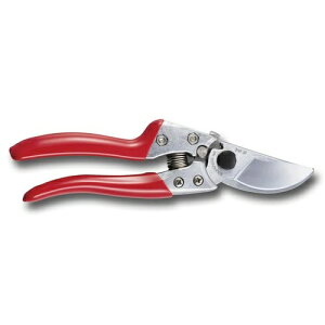 AX uCGXGCg@VS|8Zy񏤕iz