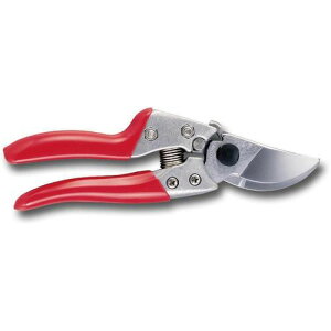 A[NY AX@uCGXZu@VS|7Zy񏤕iz