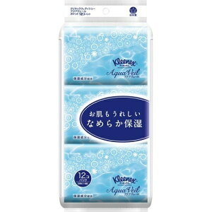 {NVA NlbNX@ANAF[@|Pbg12P×24y񏤕iz