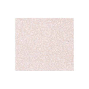 xx 860@@́ij@300y񏤕iz