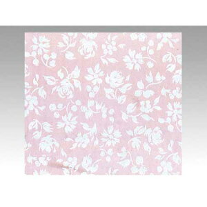 xx 246@@JisNj@500y񏤕iz