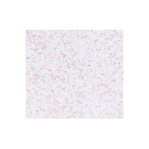 xx 746@@tXeBsN@S@300y񏤕iz