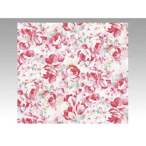 xx 266@@}[l@500y񏤕iz