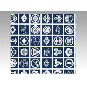 xx 217@@Ɩ@500y񏤕iz