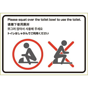 qTS s^OXebJ[@gC̎gp@iajy񏤕iz