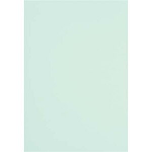 カウネット 色画用紙 四つ切 薄水 5枚