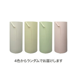 LOR[|[V {[KXy[p[FwȂ@538×350m