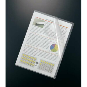 �J�E�l�b�g �Đ��N�����[�z���_�[A4�@30��