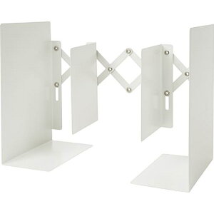 �J�[�������� �u�b�N�G���h�@�z���C�g