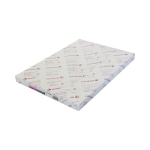 �x�m�t�B�����r�W�l�X�C�m�x�[�V���� Ncolor081�@A3�@1���i250���j