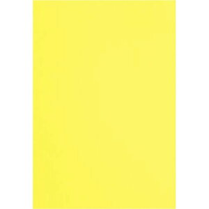 カウネット 色画用紙 四つ切 レモン 1セット5枚×20入