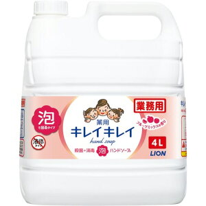 ライオンハイジーン キレイキレイ薬用泡ハンドソープ フルーツM詰替4L
