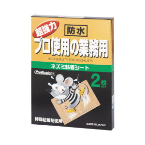 SHIMADA voX^[@lY~SV[g2@h^Cv