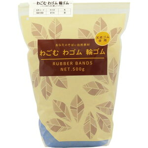 a 킲ނSփS@16F500gXC_[