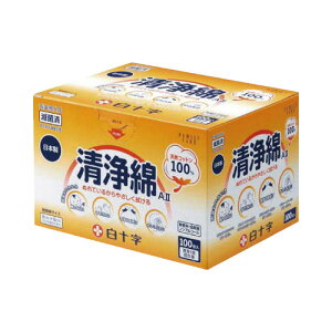 \ FC@AIIiŋۍρj@100×10