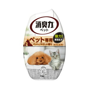 GXe[ ̏Ĺ@ybgp@t[eB[K[f