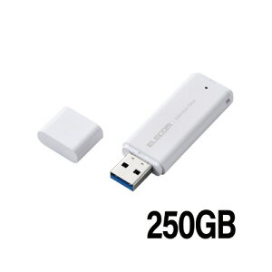 GR OtSSD@250GB@ϏՌ@^@zCg