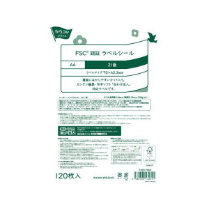 JElbg FSCF؃xV[@21ʁ@600@1