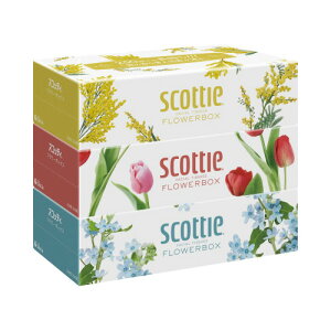 {NVA XRbeBeBV[t[250g×34pbN