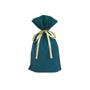 teBA n|В܁i}`tj_[NO[S20