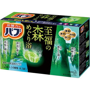 ԉ ou@̐X߂藁@12F4×e3