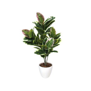 TTK lHϗtAAeV}MTCYy񏤕iz