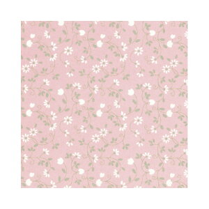 TTK @t[q@˔@50y񏤕iz