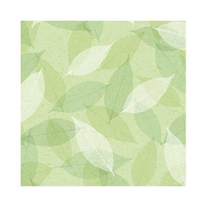 TTK @VA[[t@˔@50y񏤕iz