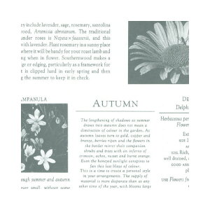 TTK @J[fBAO[@˔y񏤕iz