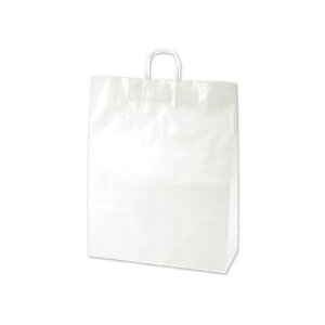 TTK 񂰃obO@10Pn@Xy񏤕iz