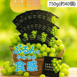 VC}XJbg ɂႭ[[ 750gi40jo pbN [[ [[ ɂႭ  َq XC[c(VC}XJbg750g)