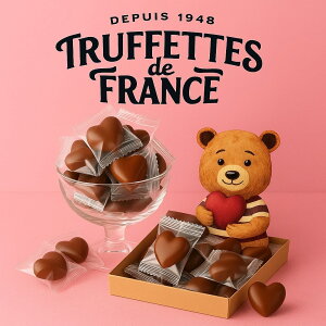 10個入り ショクモド チョコマシュマロ │1000円ポッキリ 送料無料 お試し チョコ マシュマロ (食品ショクモド10)チョコレート お菓子 スイーツ