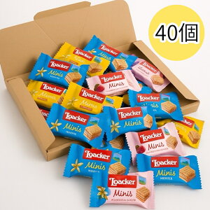 yՂ40Iz[J[ AJ[ EGn[X ~j[Y XvO T}[ ~bNX Gߌ َq XC[c(Hi[J[SM40) Cyȃ~jTCỸEGn[XB3ނ̋lߍ킹B