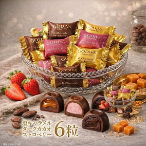 1000�~�|�b�L�� ���������y������6���z�S�f�B�o G�V���R�� �A�\�[�g �o������ � (G�V���R��6)�`���R���[�g �`���R ���َq �X�C�[�c GODIVA