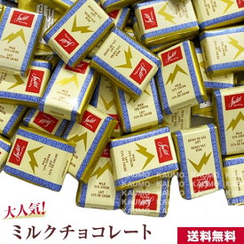 スイスデリス チョコレート 45個 チョコ ミルクチョコレート (食品スイス45)スイス産 個包装