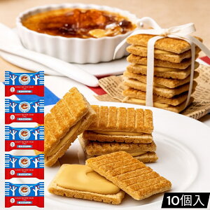 VK[o^[Th̖ Lu 10 (HiLu10)o  XC[c َq Mtg v[g  mَq ݂₰ łL VK[