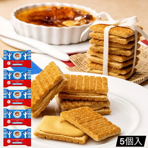 ubNtCf[ VK[o^[Th̖ Lu 5 (HiLu5)  o XC[c łL VK[o^[̖ َq 1000 |bL 