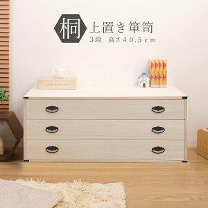 N[|zz/i { up˃`FXg 3i 99×s44×40.5cm rO[ ˂ ˈߑ ˈߏ [  a\y ^X [`FXg N[[bg 