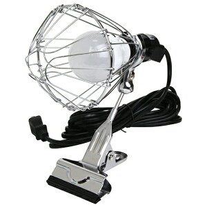 N[|zz/caster LEDNbvv 5W 100V R[h5m 485lm E26 SCL-5W-5M  Ɠ O O  Ɩ Cg ЊQ  V k 4977292405614