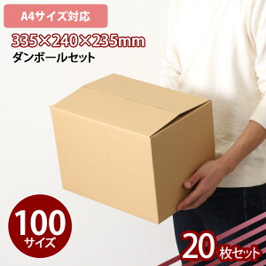  z100TCY _{[ (A4TCYΉ) 20Zbg Xq (ED-9) i{[  z [ ۊ ʔ ב  lbgVbv t}Av ݂ ֗  n z pi