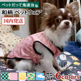 楽天市場 犬 変装の通販
