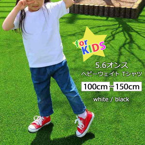  LbY 5.6IX wr[EFCg  TVc j̎q ̎q gbvX Jbg\[ qǂ ǂ q n Vv 100 110 120 130 140 150 zCg ubN   [