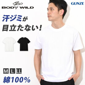 ＼本日店内SALE／ セール BODY WILD ボディワイルド 汗染みが目立ちにくい Tシャツ メンズ トップス インナー シャツ カットソー 半袖 春夏 無地 スポーツ 汗ジミ 汗染み軽減 汗対策 清潔 黒 白 デイリー 通勤 ビジネス