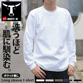 ＼本日店内SALE／ POINT 送料無料 Hanes ヘインズ BEEFY-T ビーフィー Tシャツ ヘビーウエイト ロングスリーブTシャツ メンズ Tシャツ beefy 長袖 ロンT パックT トップス 厚手 インナー レディース ユニセックス ブランド 無地 コットン 綿 タグレス メール便